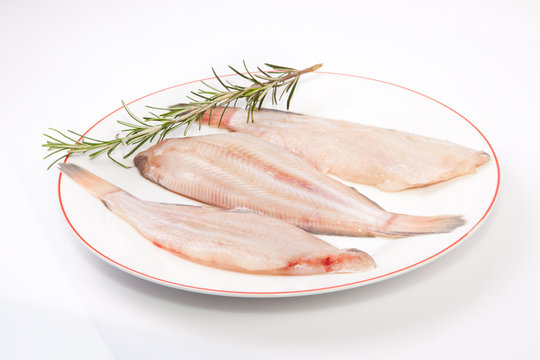 Raw sole fish with rosemary