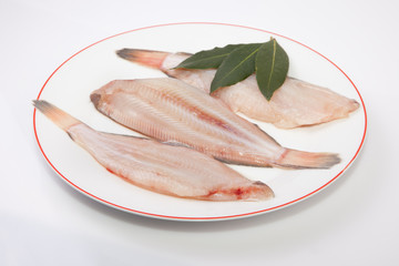 Raw sole fish with bay branch