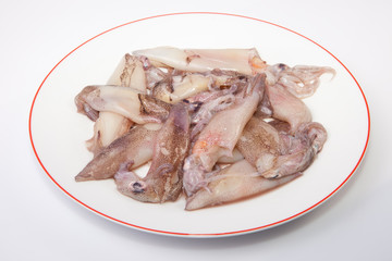 Small freshly squids