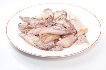 Small freshly squids