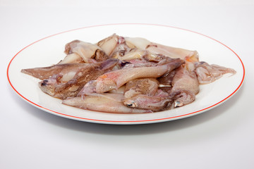 Small freshly squids