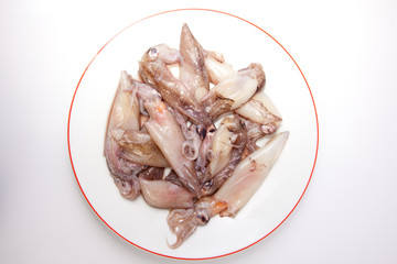 Small freshly squids