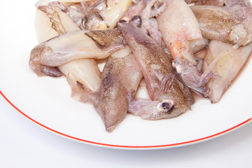 Small freshly squids