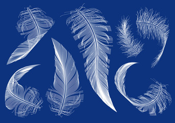 flying feathers, vector set