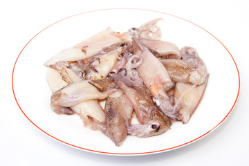 Small freshly squids