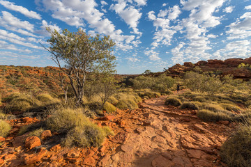 Kings canyon