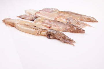 Row of small freshly squids
