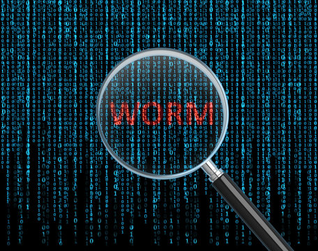 worm