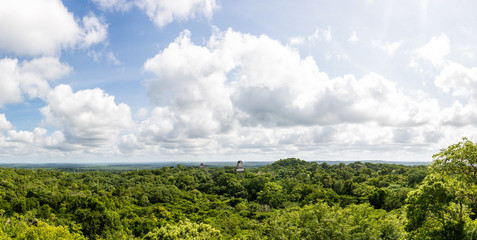 Fototapeta na wymiar Panoramic View rainforest and Mayan Ruins . Tikal, Guatemala.