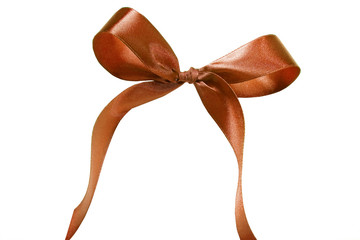 Brown ribbon. Isolated on the white background