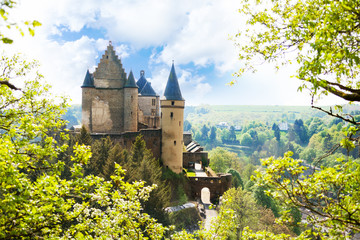 View of Vianden castle in Luxembourg from the hill - obrazy, fototapety, plakaty