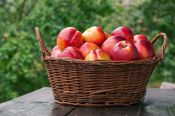 Juicy nectarines