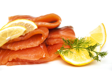 salmon