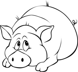 pig cartoon laying isolated on white background