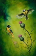 pair of songbirds flattering above a distel flower