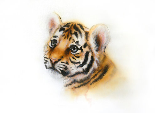 adorable baby tiger head looking up on white background