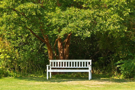 Bank im Schlosspark Fredensborg 3