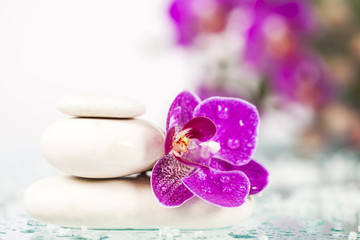 Spa still life with pink orchid and white zen stone