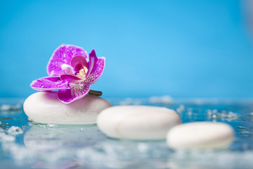 Fototapeta na wymiar Spa still life with pink orchid and white zen stone