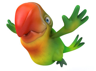 Fun parrot © Julien Tromeur