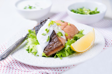 Grilled red fish fillet