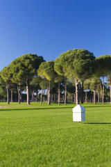 Fototapeta premium Marker at a teeing ground of a golf course