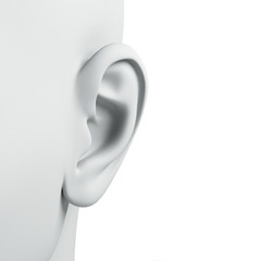 3d ear