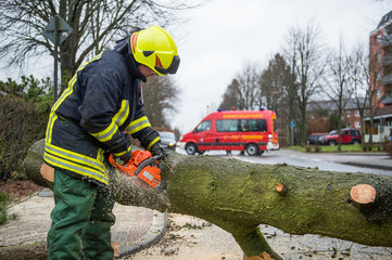 Naklejka premium Feuerwehrmann zersägt umgestürzten Baum