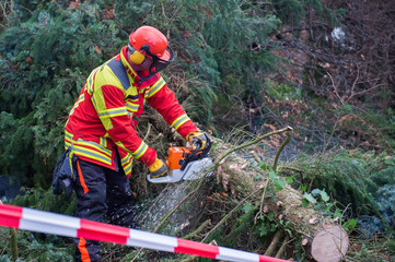 Feuerwehrmann zersägt Baum
