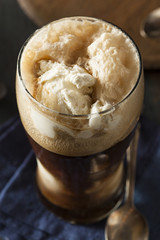 Frozen Dark Stout Beer Float