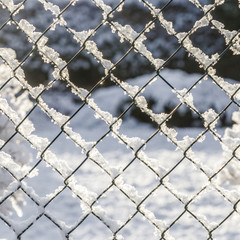 Fototapeta premium snow covered fence