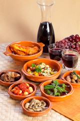 Traditional spanish tapas.