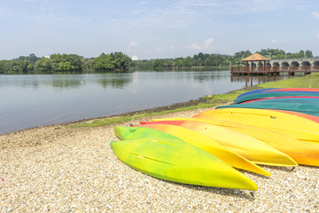 a group of coloring canoe near the lake.