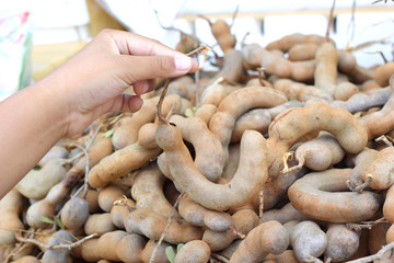 Ripe tamarind fruit