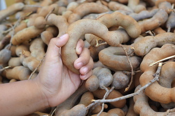 Ripe tamarind fruit
