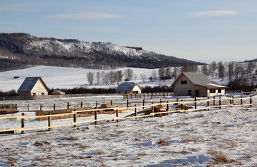 House construction on the allocated site