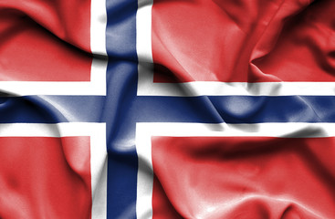 Norway waving flag