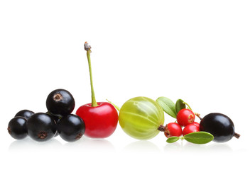 Different type of berry fruits isolated