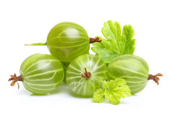 Ripe green gooseberry with leaf isolated - obrazy, fototapety, plakaty