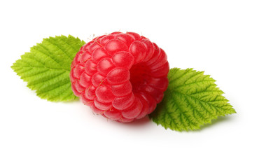 Red ripe berry raspberry isolated