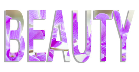 Beauty word in purple orchid