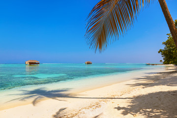 Obraz na płótnie Canvas Tropical Maldives island