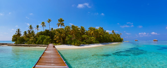 Tropical Maldives island