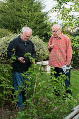 Fototapeta premium two senior gardeners