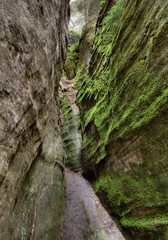 Park of Adrspach-Teplice rocks. Rock Town. Czech Republic