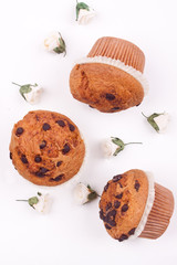 chocolate chip muffin