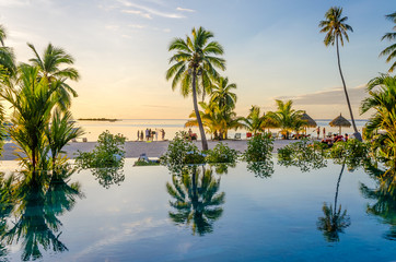Palms reflecting on an infinity pool on the beach, French Polyne
