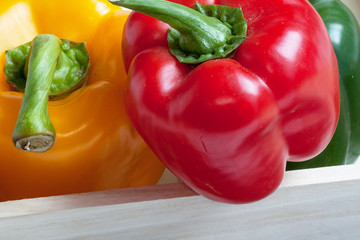 Poivrons de couleurs différentes alignés sur fond blanc 