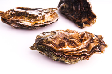 Gourmet fresh french oysters