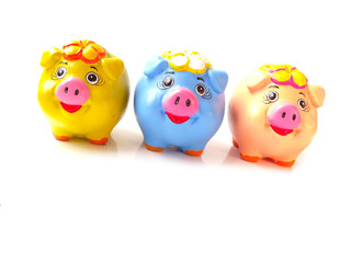 cute piglet clay pot isolated on white background